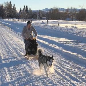 Meet your Posher, Karlee